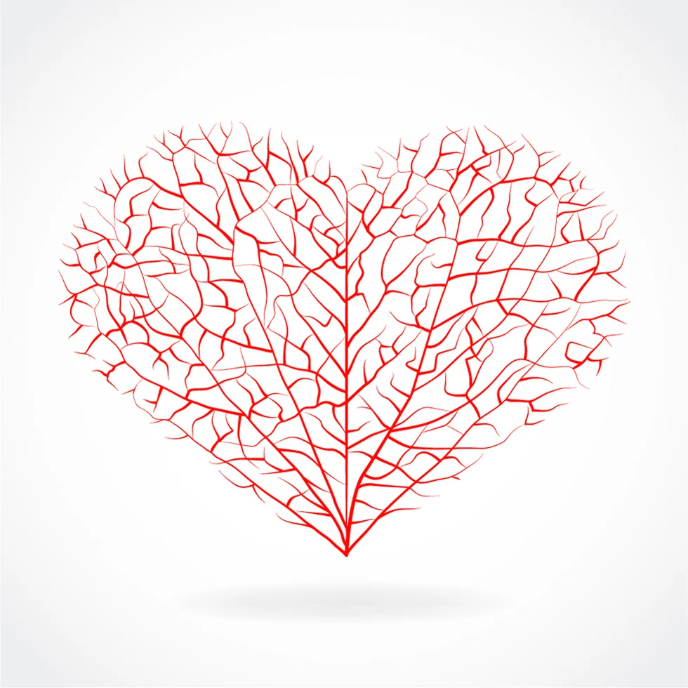 connection between a vein condition and heart problems.jpg